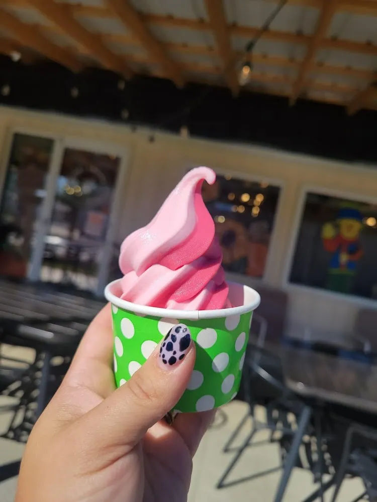 Frozen Yogurt